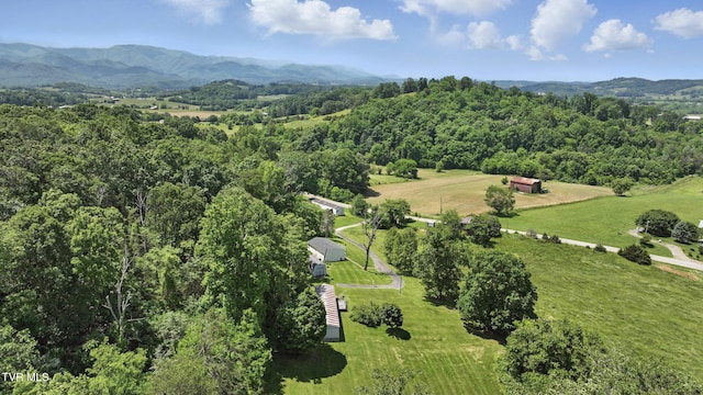 438 Horace Dillow Rd, Limestone, TN 37681 - bird's eye view of a mountainous background and a forest