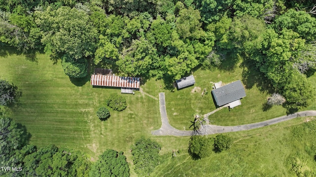 438 Horace Dillow Rd, Limestone, TN 37681 - aerial view of property's location