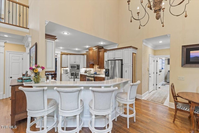 114 Highland Gate Dr, Johnson City, TN 37615 - kitchen with stainless steel appliances, a towering ceiling, crown molding, a peninsula, and a breakfast bar area