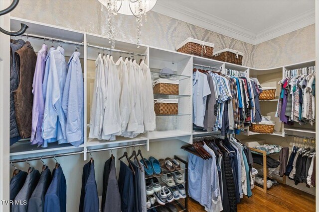 114 Highland Gate Dr, Johnson City, TN 37615 - walk in closet featuring wood finished floors