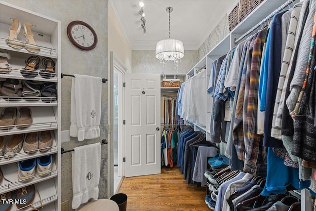 114 Highland Gate Dr, Johnson City, TN 37615 - spacious closet featuring a chandelier and wood finished floors