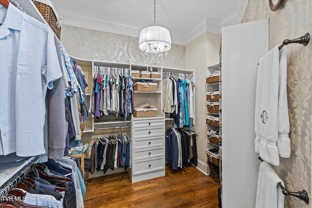 114 Highland Gate Dr, Johnson City, TN 37615 - walk in closet featuring dark wood-style flooring and a chandelier