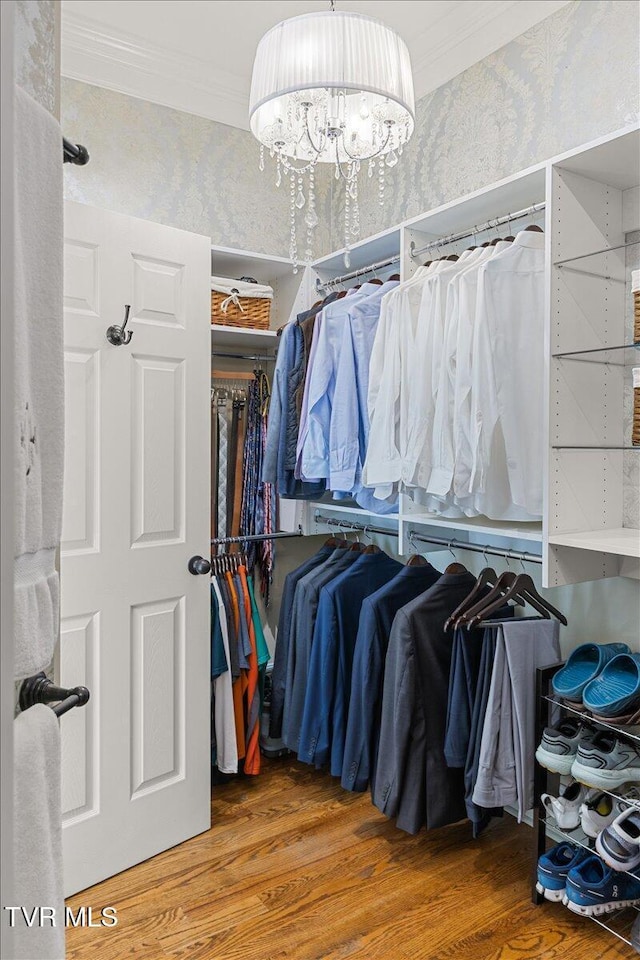 114 Highland Gate Dr, Johnson City, TN 37615 - spacious closet featuring wood finished floors and a chandelier