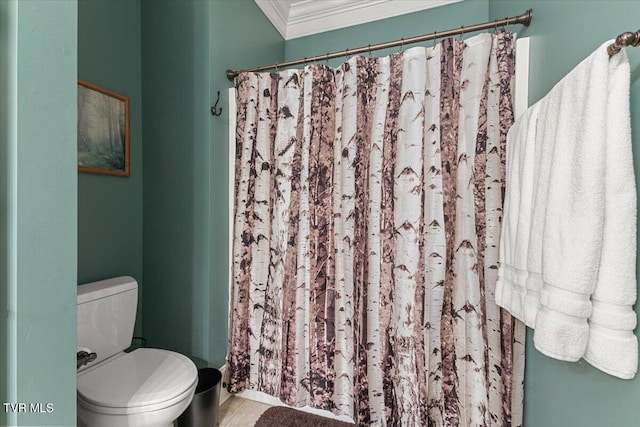 114 Highland Gate Dr, Johnson City, TN 37615 - full bathroom with ornamental molding, toilet, and a shower with curtain