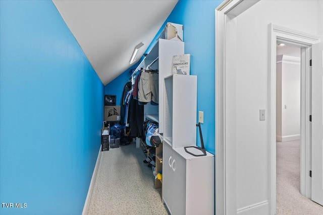 114 Highland Gate Dr, Johnson City, TN 37615 - corridor with lofted ceiling, carpet, and baseboards
