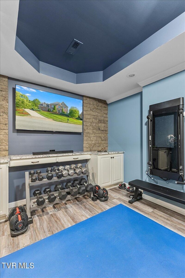 114 Highland Gate Dr, Johnson City, TN 37615 - cinema room featuring wood finished floors and a tray ceiling