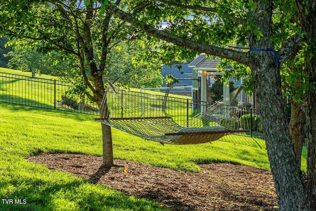 114 Highland Gate Dr, Johnson City, TN 37615 - view of yard