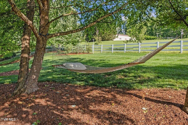 114 Highland Gate Dr, Johnson City, TN 37615 - view of yard
