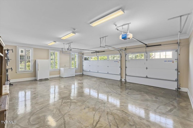114 Highland Gate Dr, Johnson City, TN 37615 - garage with freestanding refrigerator, a garage door opener, and baseboards