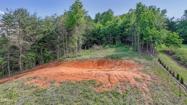 TBD Rock Quarry Rd, Afton, TN 37616