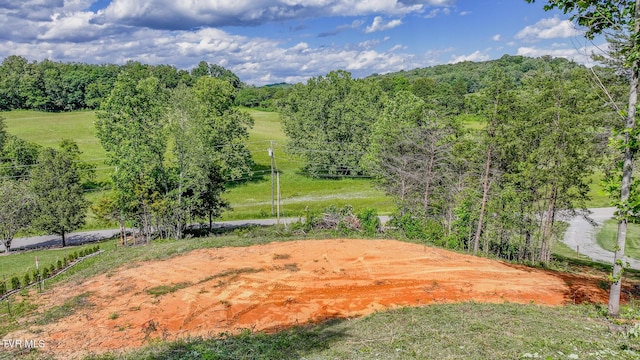 TBD Rock Quarry Rd, Afton, TN 37616