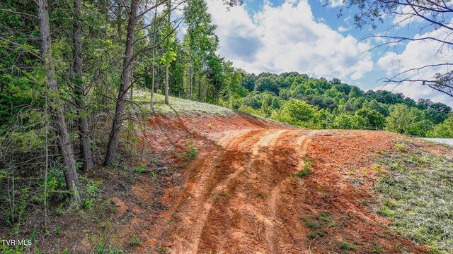 TBD Rock Quarry Rd, Afton, TN 37616