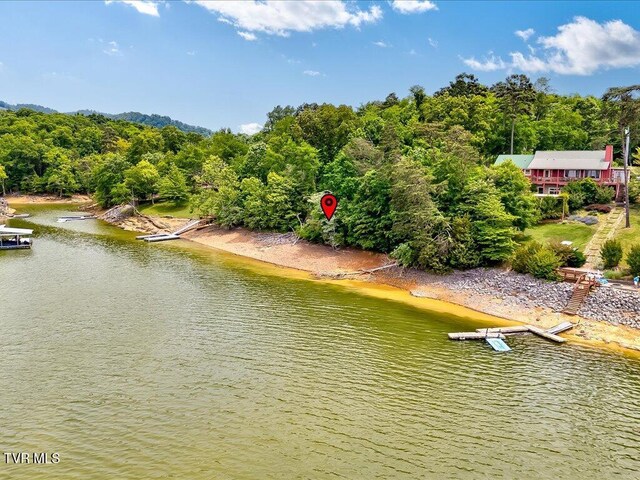 1618 Sequoyah Dr, Mooresburg, TN 37811 - photo 1