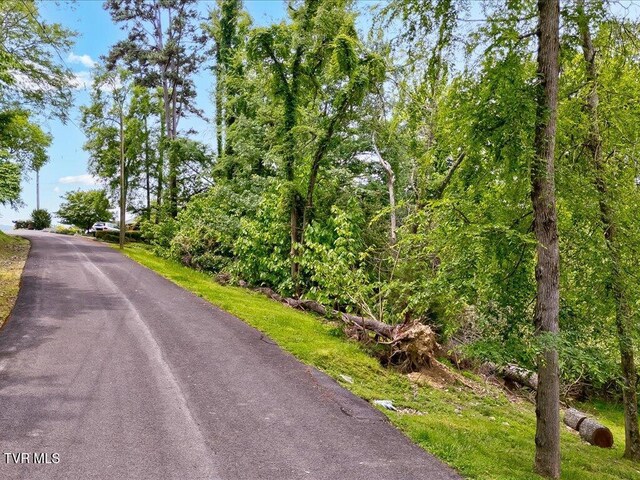 1618 Sequoyah Dr, Mooresburg, TN 37811 - photo 3