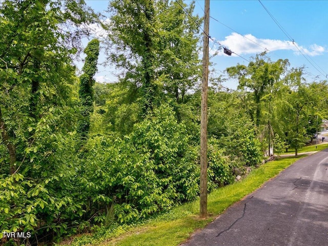 1618 Sequoyah Dr, Mooresburg, TN 37811 - photo 5