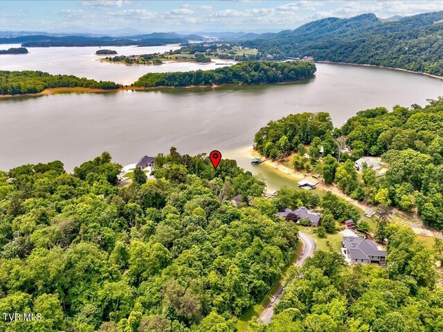 1618 Sequoyah Dr, Mooresburg, TN 37811 - photo 13