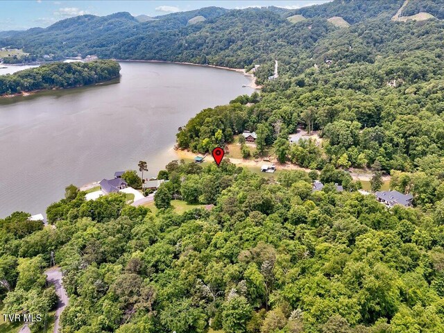 1618 Sequoyah Dr, Mooresburg, TN 37811 - photo 14