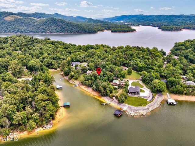 1618 Sequoyah Dr, Mooresburg, TN 37811 - photo 17