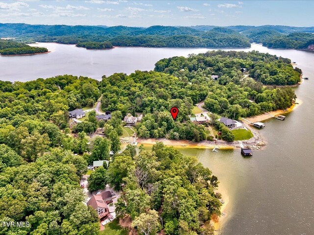 1618 Sequoyah Dr, Mooresburg, TN 37811 - photo 18