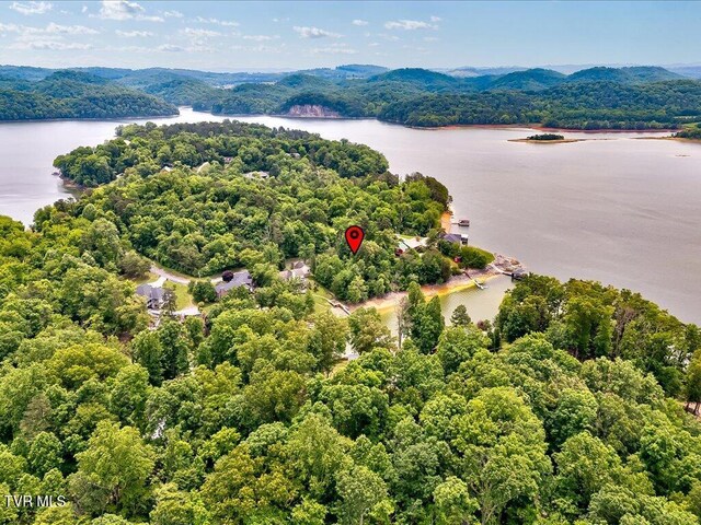 1618 Sequoyah Dr, Mooresburg, TN 37811 - photo 19
