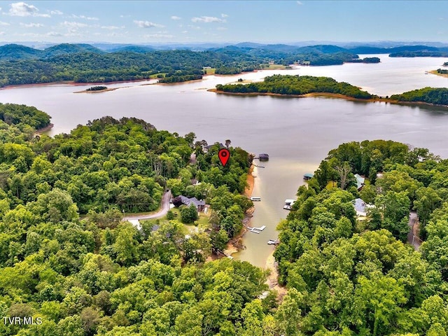 1618 Sequoyah Dr, Mooresburg, TN 37811 - photo 20