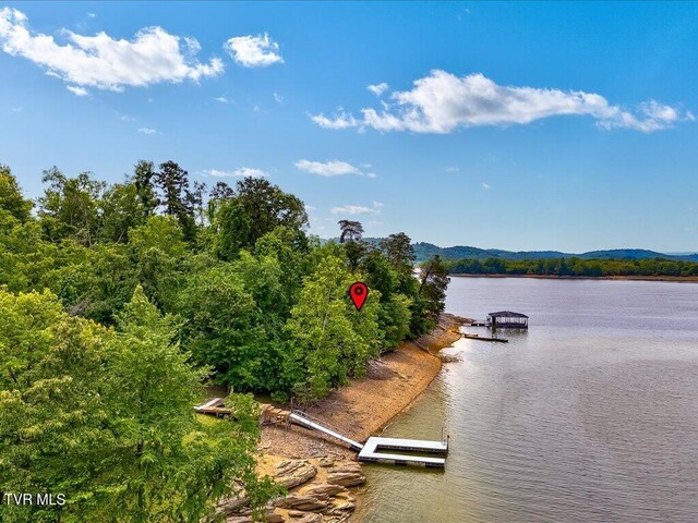1618 Sequoyah Dr, Mooresburg, TN 37811 - photo 21