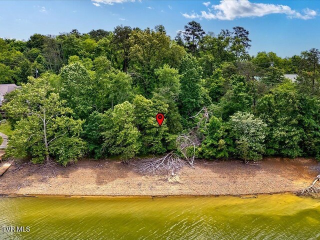 1618 Sequoyah Dr, Mooresburg, TN 37811 - photo 22