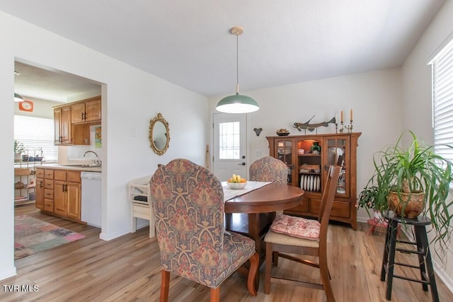 14227 Wellbridge Dr, Meadowview, VA 24361 - dining room with light wood-style floors and plenty of natural light
