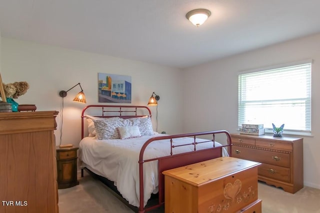 14227 Wellbridge Dr, Meadowview, VA 24361 - bedroom featuring light colored carpet