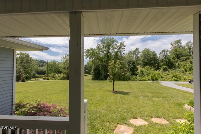 14227 Wellbridge Dr, Meadowview, VA 24361 - view of green lawn featuring view of scattered trees