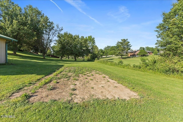 124 Highland Hills Dr, Gray, TN 37615 - view of green lawn
