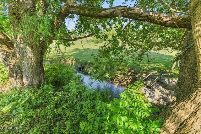 124 Highland Hills Dr, Gray, TN 37615 - view of nature