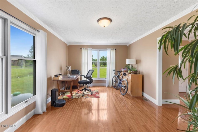 124 Highland Hills Dr, Gray, TN 37615 - office with baseboards, hardwood / wood-style floors, a textured ceiling, and crown molding