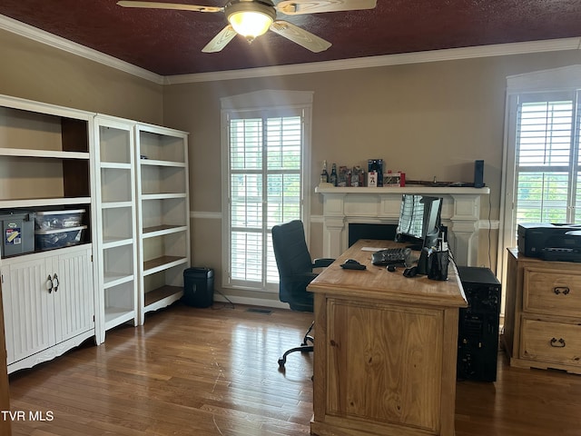 390 Springdale Dr, Bristol, TN 37620 - office featuring dark wood finished floors, a ceiling fan, ornamental molding, and a fireplace