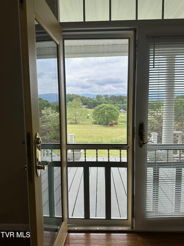390 Springdale Dr, Bristol, TN 37620 - entryway with healthy amount of natural light
