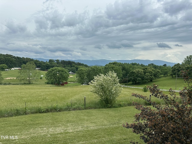 390 Springdale Dr, Bristol, TN 37620 - view of grassy yard with a view of rural / pastoral area and a mountain view