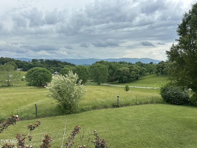 390 Springdale Dr, Bristol, TN 37620 - view of grassy yard with a rural view and a mountain view