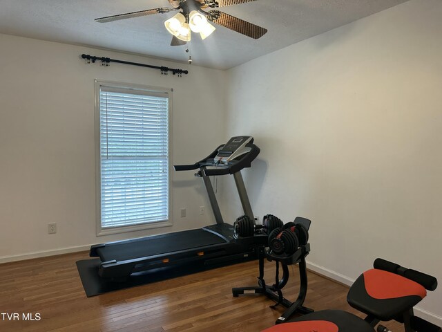 390 Springdale Dr, Bristol, TN 37620 - exercise room with ceiling fan, wood finished floors, and baseboards