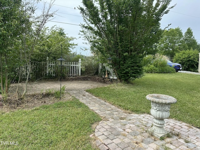 390 Springdale Dr, Bristol, TN 37620 - view of yard