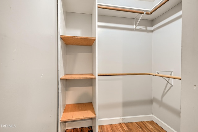 1401 Burgie St, Elizabethton, TN 37643 - walk in closet with wood finished floors