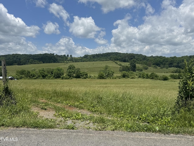 1948 Old Asheville Hwy, Greeneville, TN 37743 - photo 1