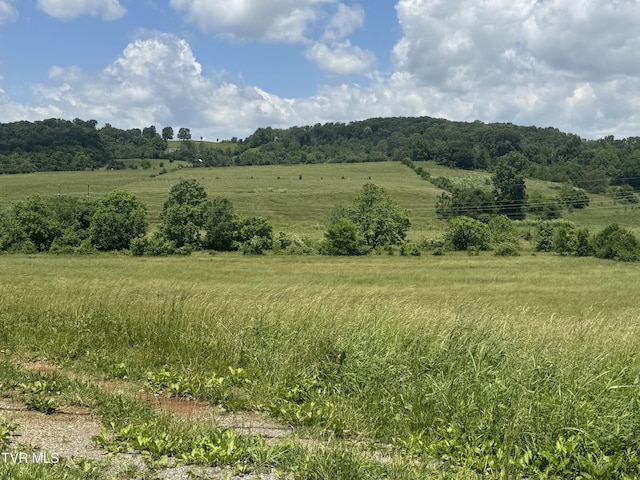 1948 Old Asheville Hwy, Greeneville, TN 37743 - photo 2