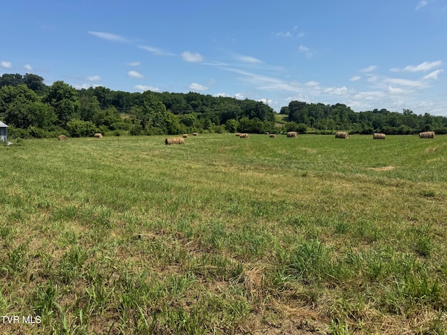 1948 Old Asheville Hwy, Greeneville, TN 37743 - photo 4