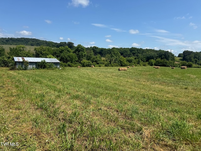 1948 Old Asheville Hwy, Greeneville, TN 37743 - photo 5