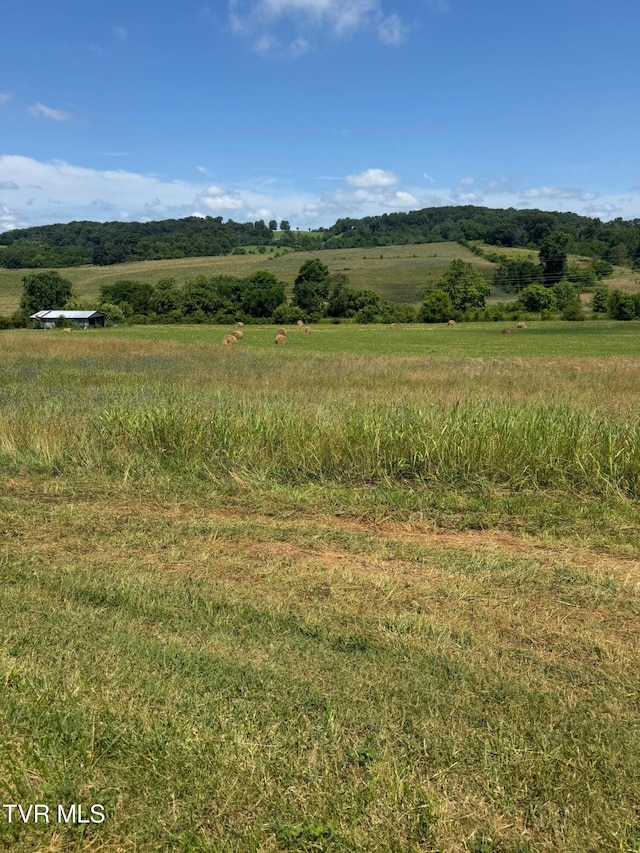 1948 Old Asheville Hwy, Greeneville, TN 37743 - photo 3