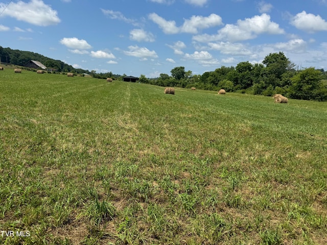 1948 Old Asheville Hwy, Greeneville, TN 37743 - photo 11