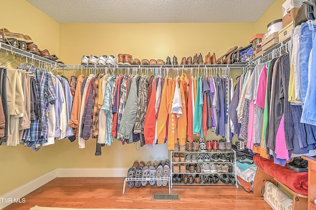 105 Morse Dr, Bristol, TN 37620 - spacious closet with wood finished floors