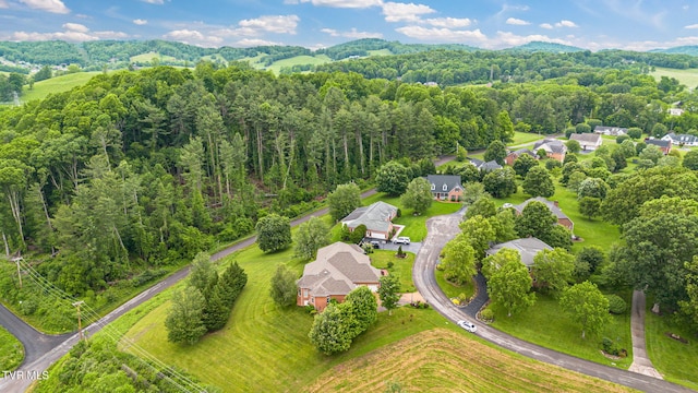 21390 Sheffield Ct, Abingdon, VA 24210 - drone / aerial view of a heavily wooded area
