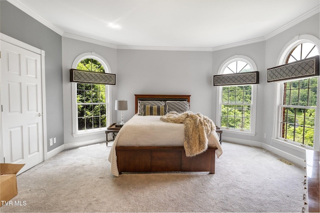21390 Sheffield Ct, Abingdon, VA 24210 - carpeted bedroom featuring baseboards and ornamental molding
