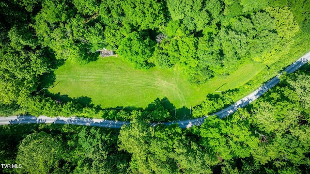 TBD Eb Hollow Rd, Eidson, TN 37731